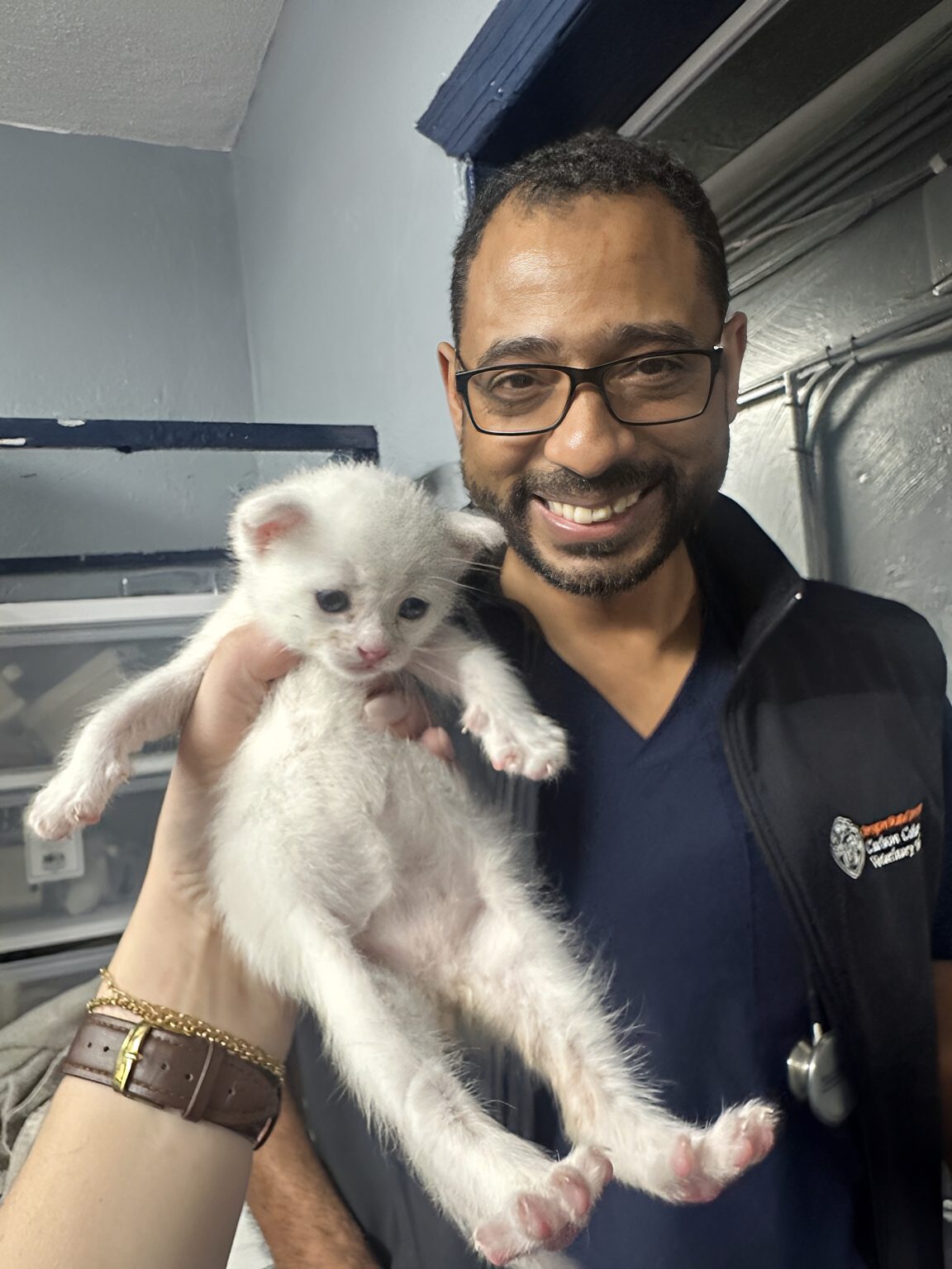 Dr. Fouad Elmiusrati