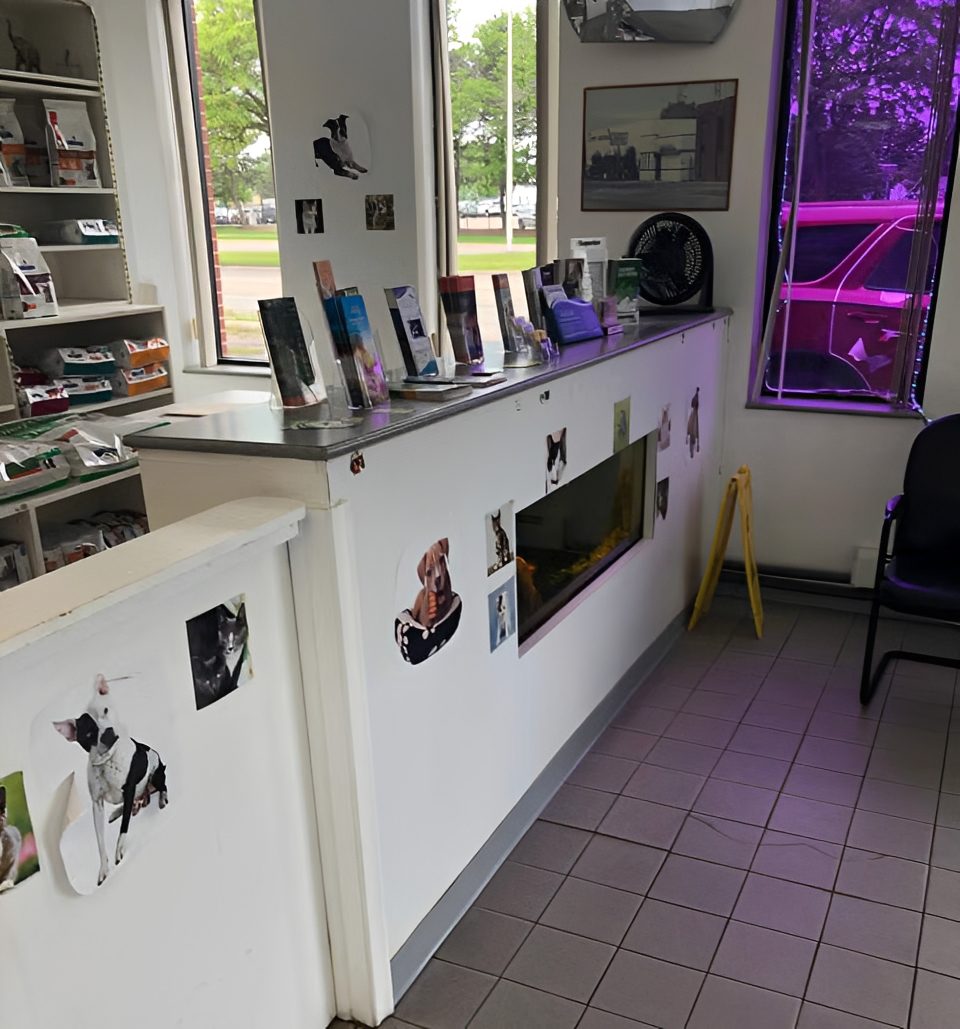 Animal photos on clinic counter